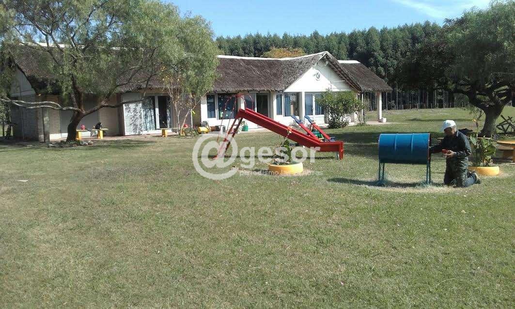 Image1